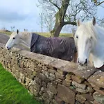 Сasa de vacaciones 4 Bed In Aspatria Oc-sz119